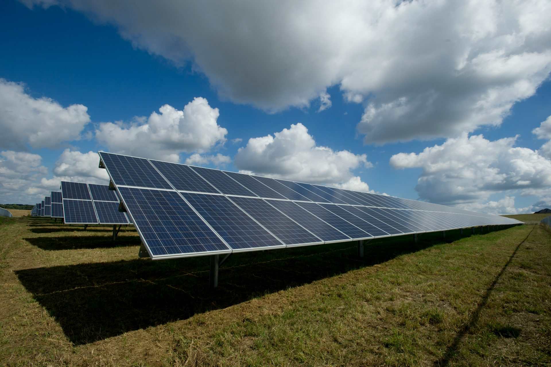 Paneles solares bajo cielo azul