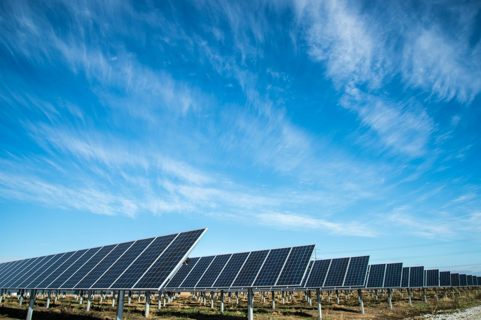 paneles solar bajo el cielo azul
